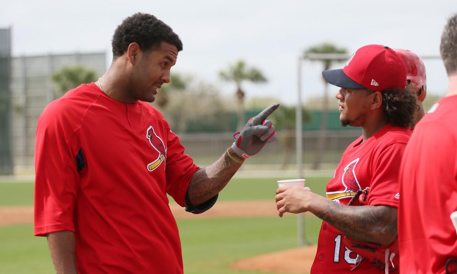 Cardinals spring training